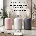 Nordic Geometric Deer Sculpture Set​