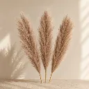 Elegant Pampas Stems — Set of 3.